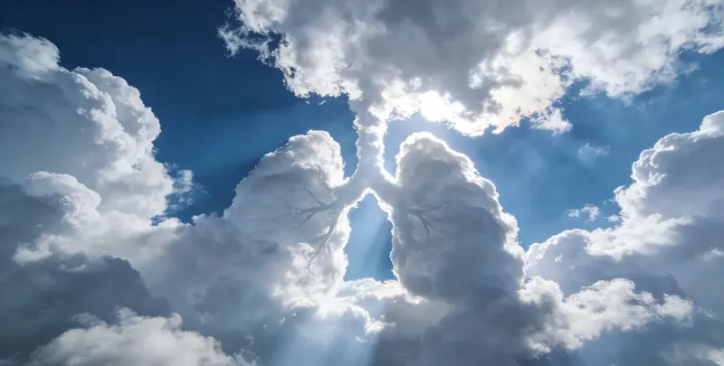 临汾肺癌靶向120基因检测（组织）图片1