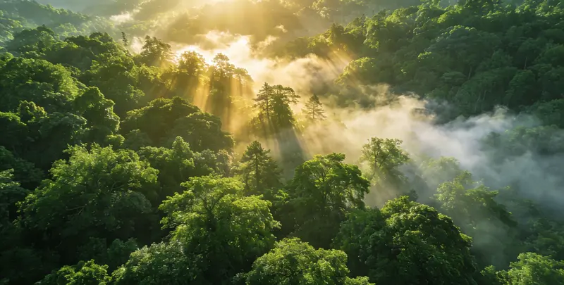 临汾肺癌12基因ctDNA突变检测(血液）图片1
